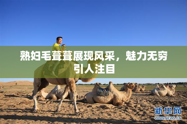 熟妇毛葺葺展现风采，魅力无穷引人注目
