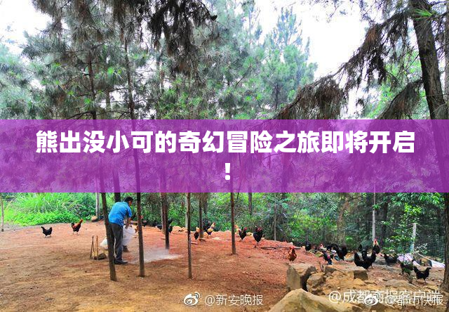 熊出没小可的奇幻冒险之旅即将开启！