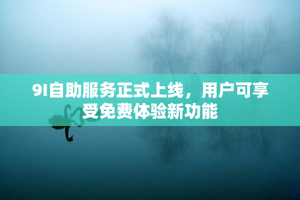 9I自助服务正式上线，用户可享受免费体验新功能
