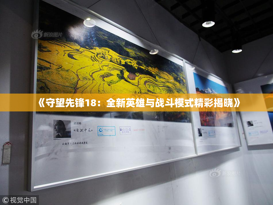 《守望先锋18：全新英雄与战斗模式精彩揭晓》