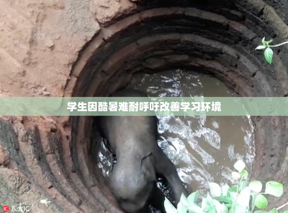 学生因酷暑难耐呼吁改善学习环境