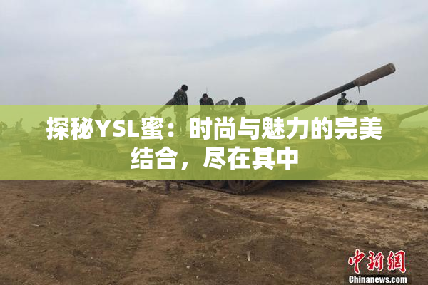 探秘YSL蜜：时尚与魅力的完美结合，尽在其中