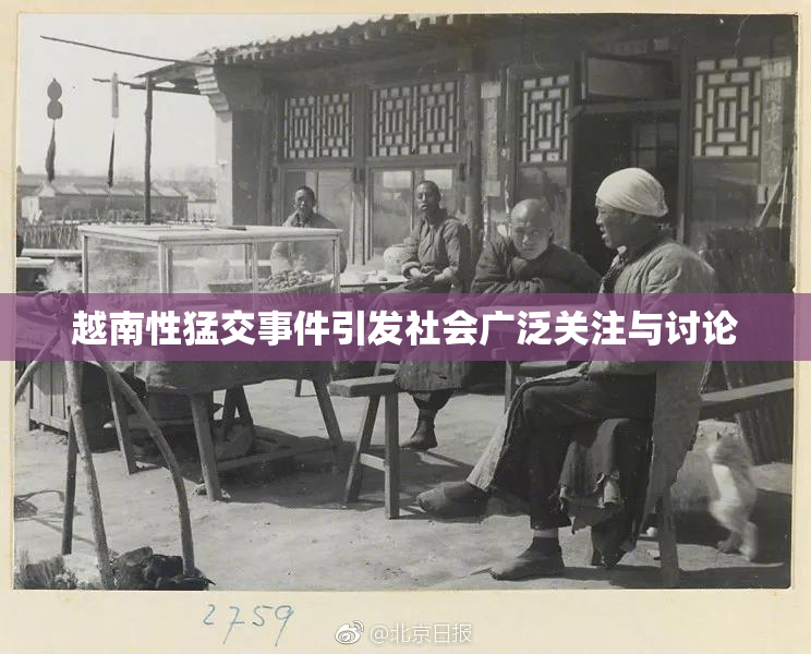越南性猛交事件引发社会广泛关注与讨论