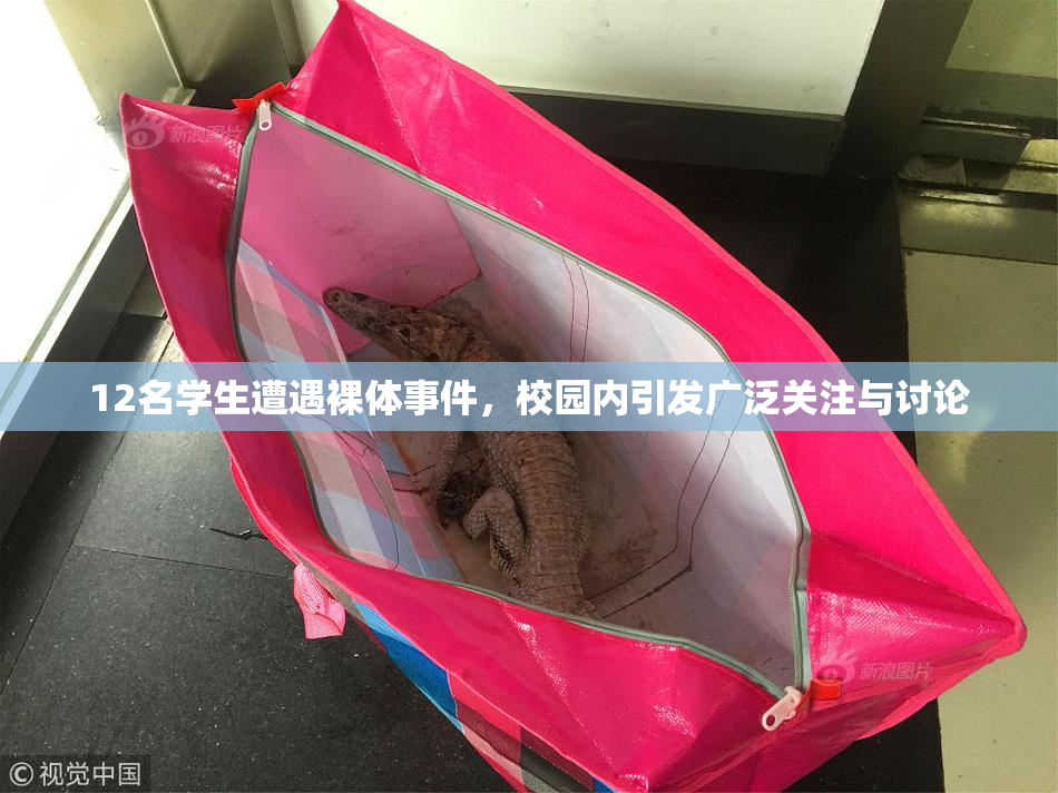 12名学生遭遇裸体事件，校园内引发广泛关注与讨论