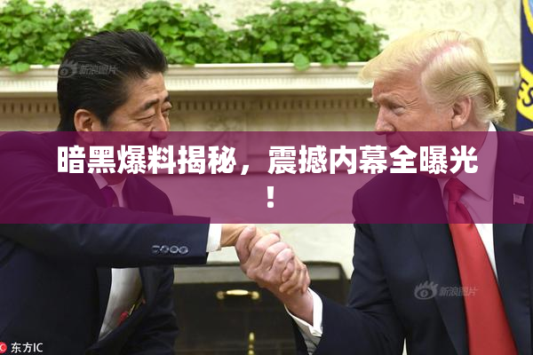 暗黑爆料揭秘，震撼内幕全曝光！