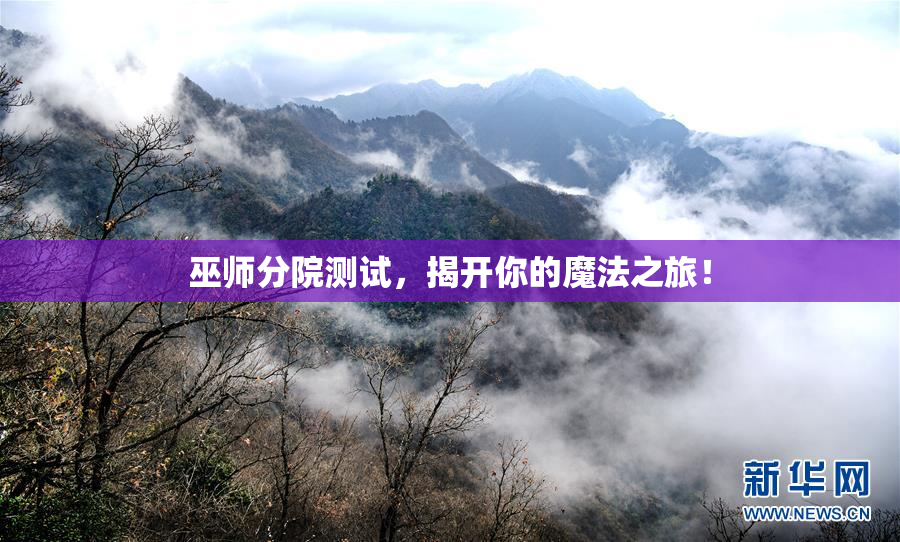 巫师分院测试，揭开你的魔法之旅！