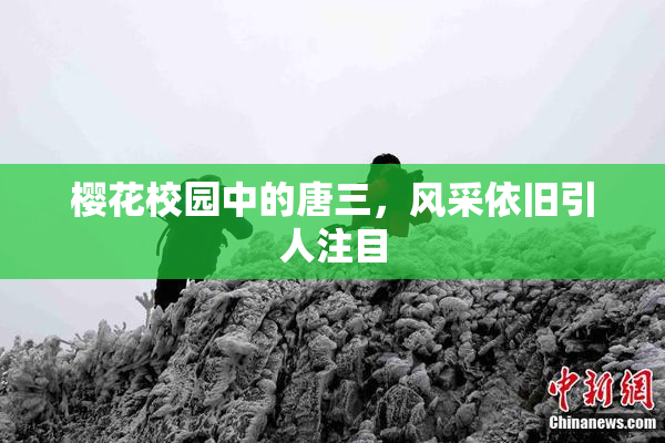 樱花校园中的唐三，风采依旧引人注目