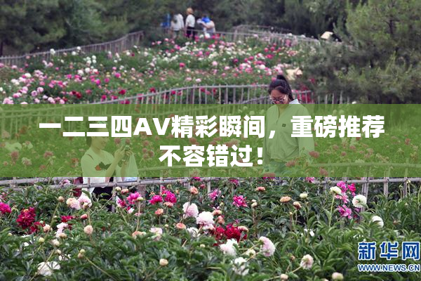 一二三四AV精彩瞬间，重磅推荐不容错过！