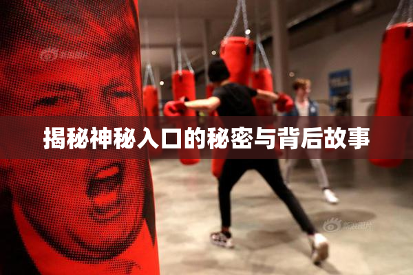 揭秘神秘入口的秘密与背后故事