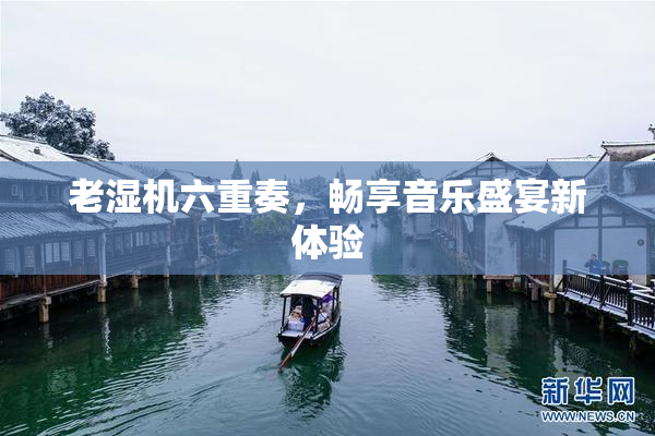 老湿机六重奏，畅享音乐盛宴新体验