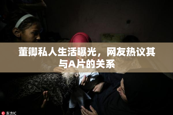 董卿私人生活曝光，网友热议其与A片的关系
