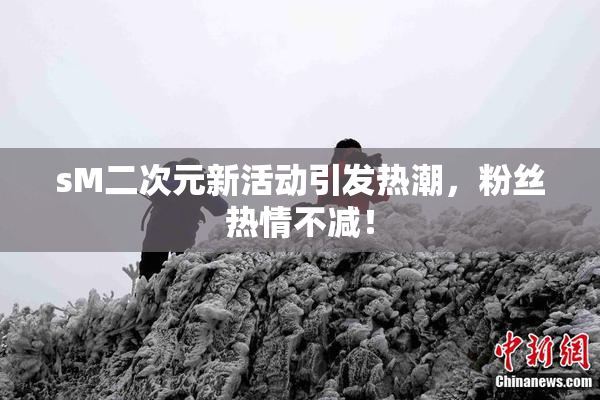 sM二次元新活动引发热潮，粉丝热情不减！