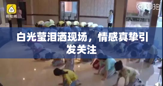 白光莹泪洒现场，情感真挚引发关注
