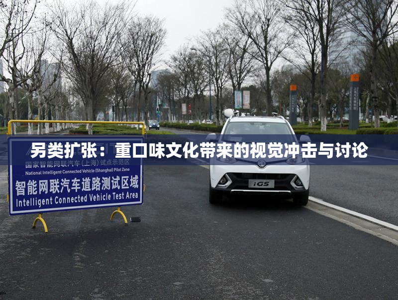 另类扩张：重口味文化带来的视觉冲击与讨论