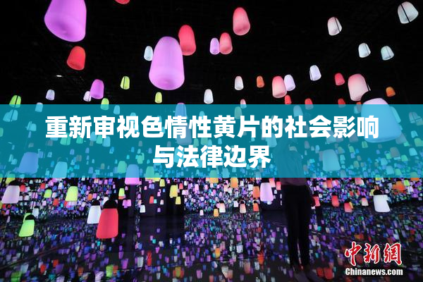 重新审视色情性黄片的社会影响与法律边界