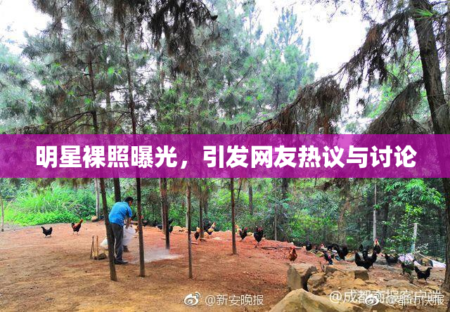明星裸照曝光，引发网友热议与讨论