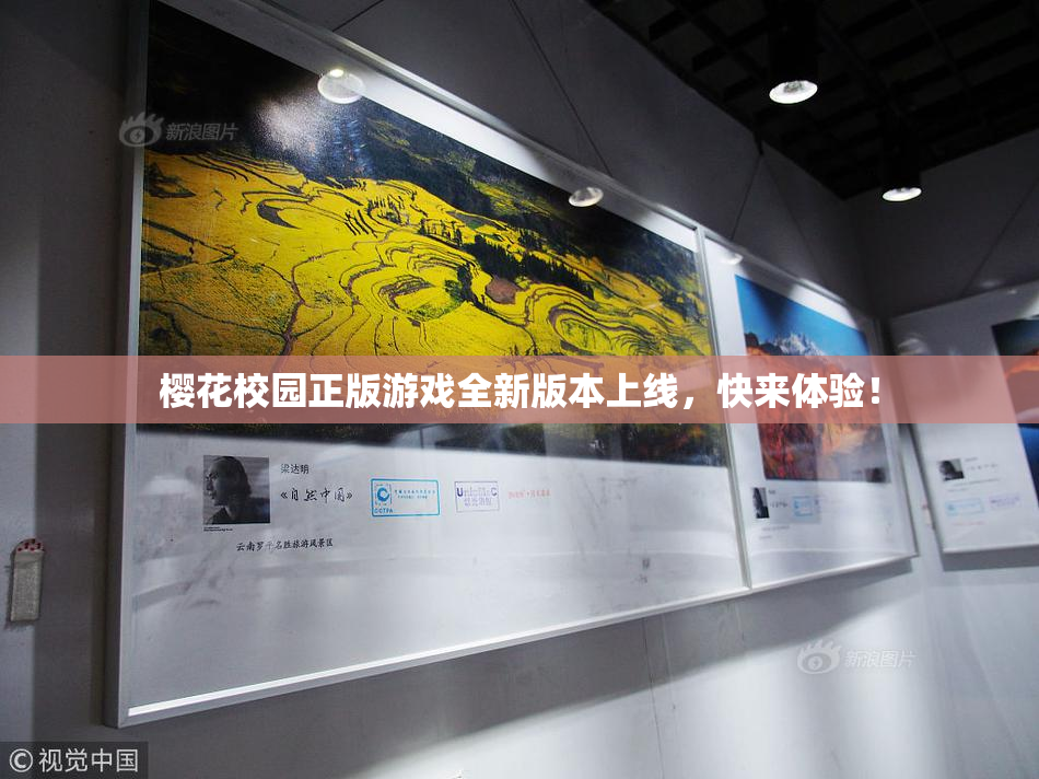 樱花校园正版游戏全新版本上线，快来体验！