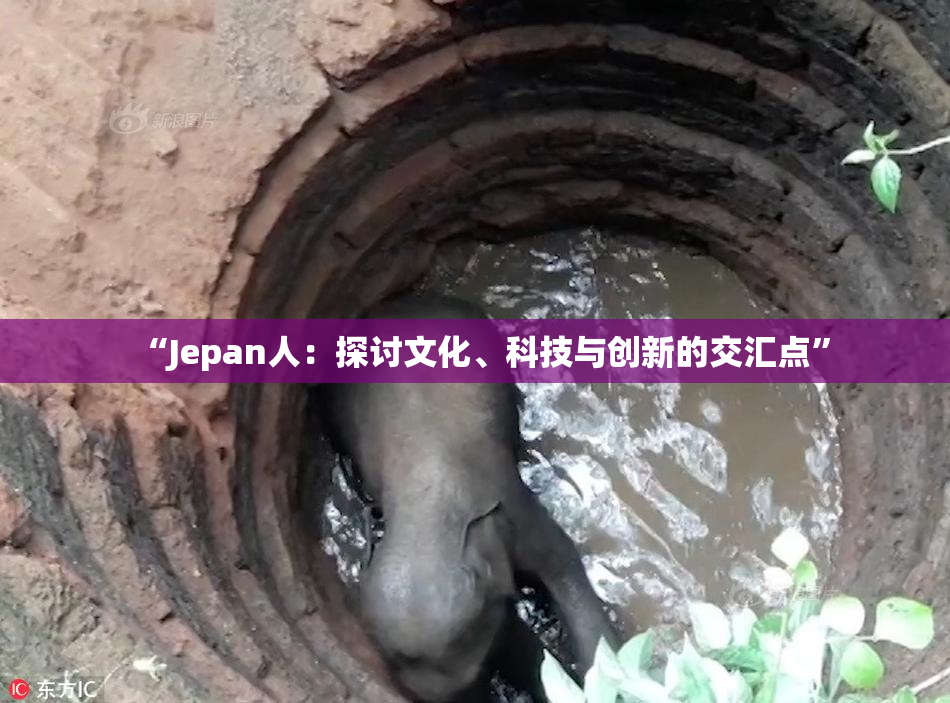 “Jepan人：探讨文化、科技与创新的交汇点”