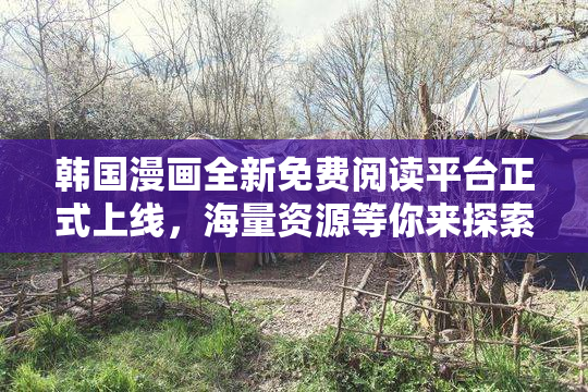 韩国漫画全新免费阅读平台正式上线，海量资源等你来探索！