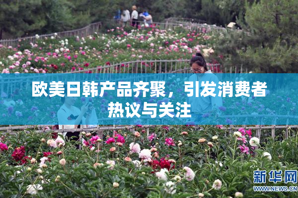 欧美日韩产品齐聚，引发消费者热议与关注