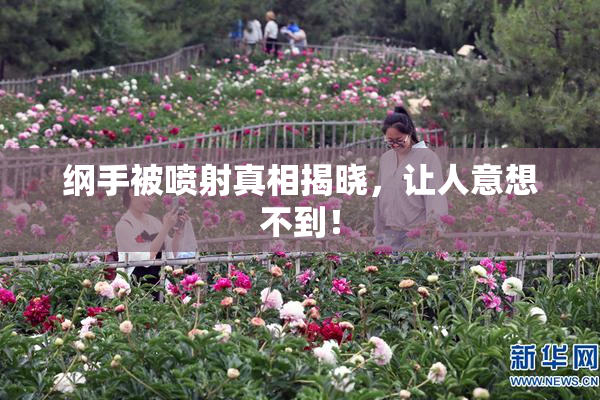 纲手被喷射真相揭晓，让人意想不到！