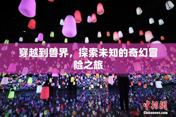 穿越到兽界，探索未知的奇幻冒险之旅