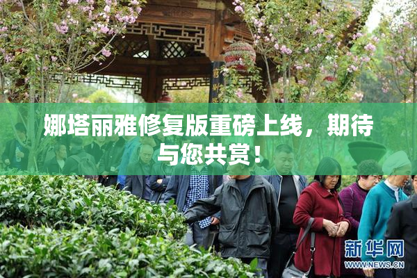 娜塔丽雅修复版重磅上线，期待与您共赏！