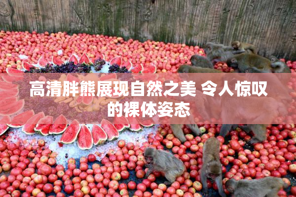 高清胖熊展现自然之美 令人惊叹的裸体姿态