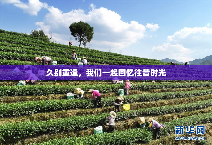 久别重逢，我们一起回忆往昔时光