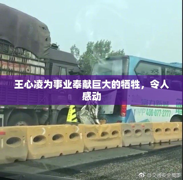 王心凌为事业奉献巨大的牺牲，令人感动