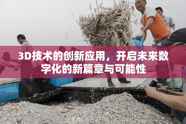 3D技术的创新应用，开启未来数字化的新篇章与可能性