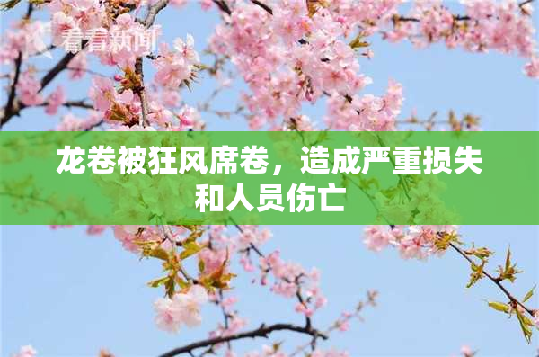 龙卷被狂风席卷，造成严重损失和人员伤亡