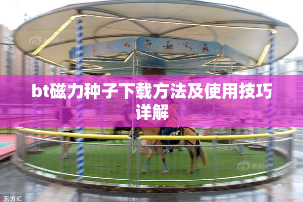 bt磁力种子下载方法及使用技巧详解