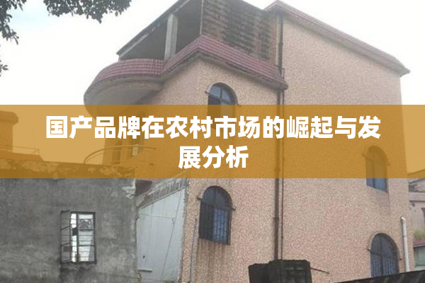 国产品牌在农村市场的崛起与发展分析