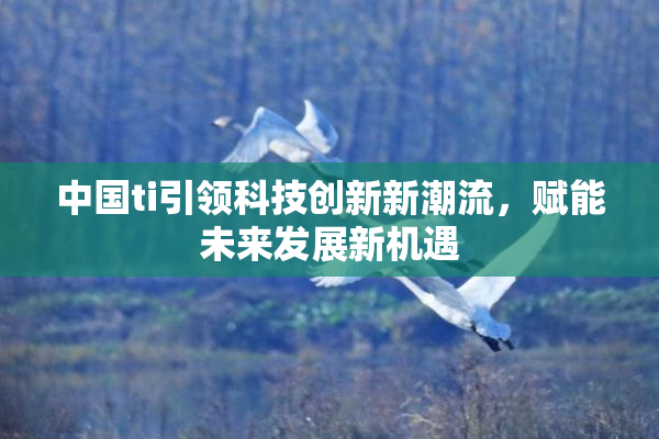 中国ti引领科技创新新潮流，赋能未来发展新机遇