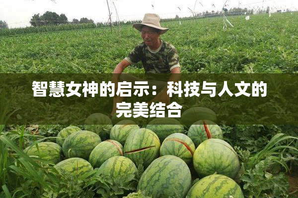 智慧女神的启示：科技与人文的完美结合