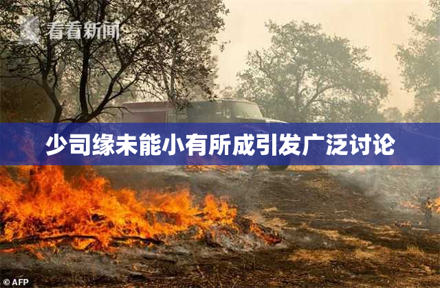 少司缘未能小有所成引发广泛讨论