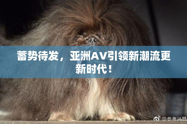蓄势待发，亚洲AV引领新潮流更新时代！