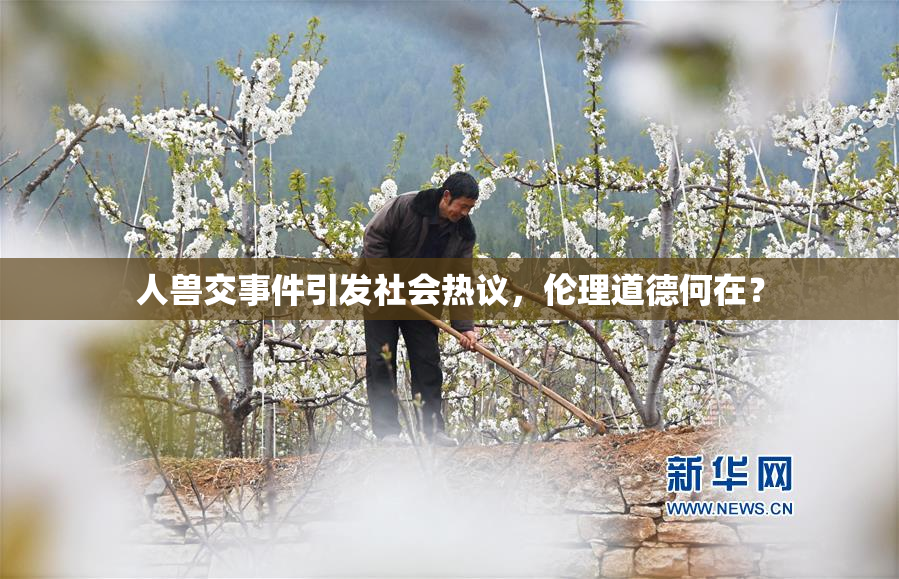 人兽交事件引发社会热议，伦理道德何在？