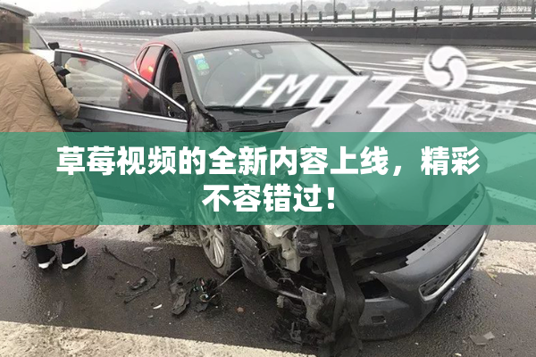 草莓视频的全新内容上线，精彩不容错过！