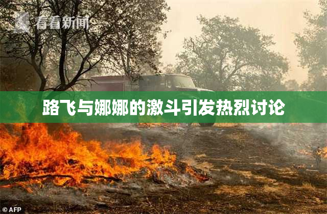 路飞与娜娜的激斗引发热烈讨论