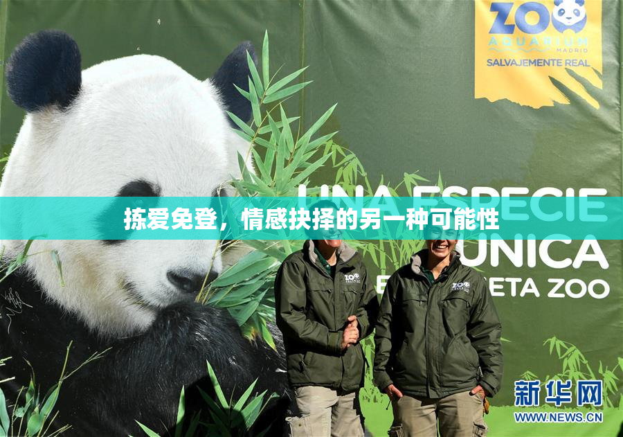 拣爱免登，情感抉择的另一种可能性