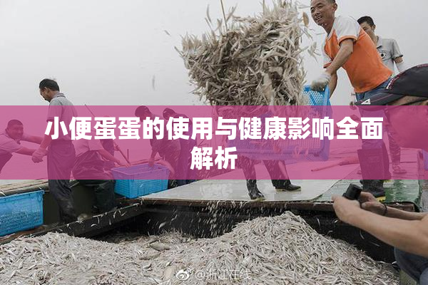 小便蛋蛋的使用与健康影响全面解析