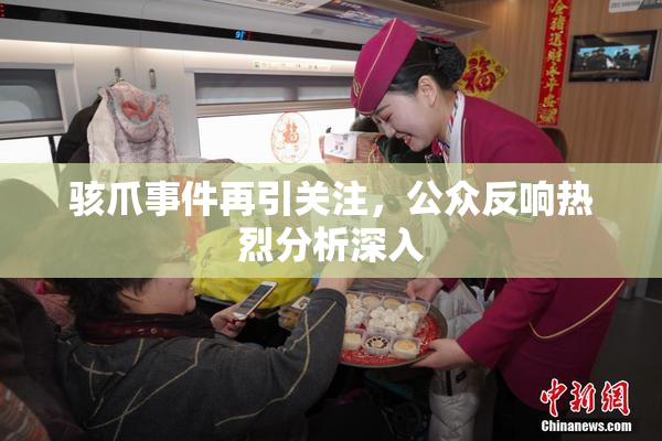 骇爪事件再引关注，公众反响热烈分析深入