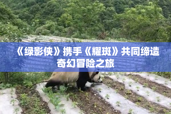 《绿影侠》携手《耀斑》共同缔造奇幻冒险之旅
