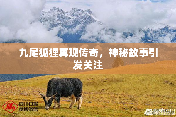 九尾狐狸再现传奇，神秘故事引发关注