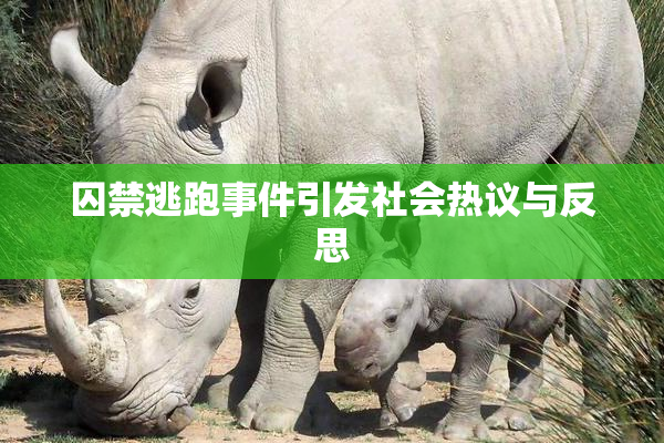 囚禁逃跑事件引发社会热议与反思