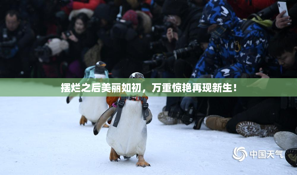 摆烂之后美丽如初，万重惊艳再现新生！