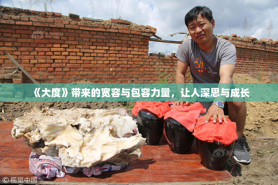 《大度》带来的宽容与包容力量，让人深思与成长