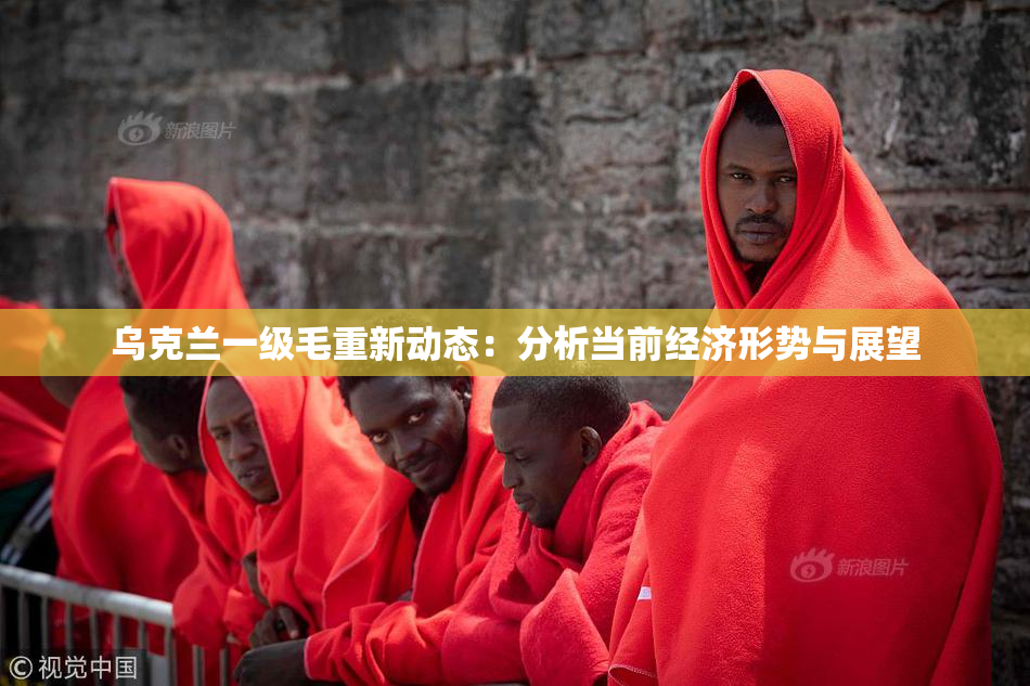 乌克兰一级毛重新动态：分析当前经济形势与展望